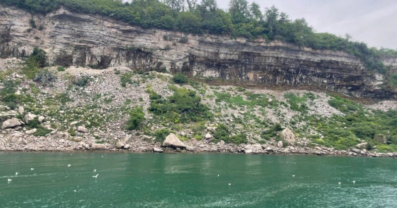 滝のそばの水鳥たち