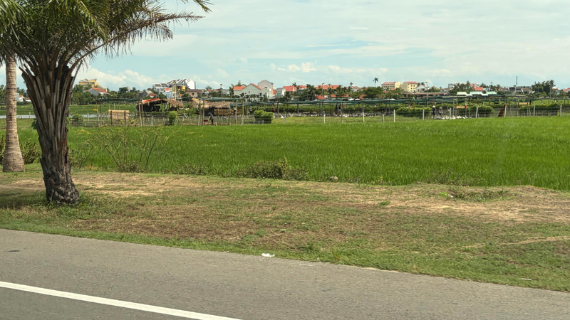 ベトナムの田園風景